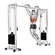 pull up (neutraler Grip)