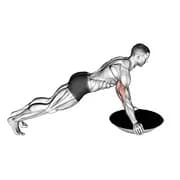 Push-up (Bosu-Ball)