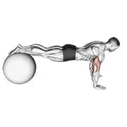 Push-up (auf Stabilitätsball)
