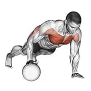 Push-up Medizinball
