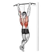 Rocky Pullup Latzug