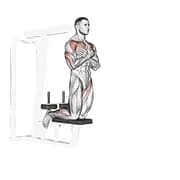 Selbstassistente Inverse Leg Curl