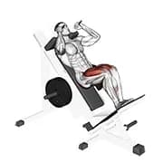 Schlitten näher Hack Squat