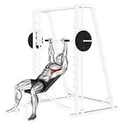 Smith incline Schulter hebt