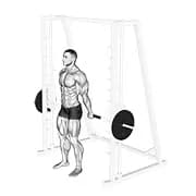 Smith Standing Back Handgelenk Curl