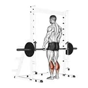 Smith Standing Leg Kalb heben