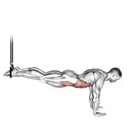 Reverse Crunch