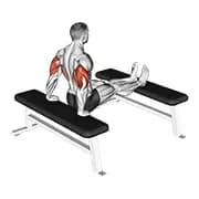 Trizeps dip (Bench Leg)