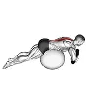 gewichtete Hyperextension (auf Stabilitätsball)