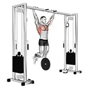 Gewichtetes Pull-up