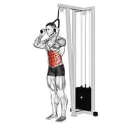 Standing Crunch (mit Seilbefestigung)