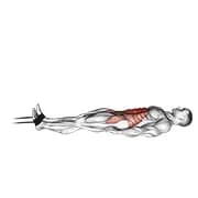 Band Jack Messer Sit-up