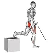 Band ein Arm Single Leg Split Squat