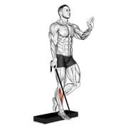 Band Single Leg Reverse Wadenerhöhung