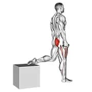 Band Single Leg Split Squat