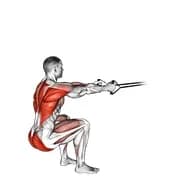 Band Squat Row