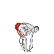 Band steifes Bein Deadlift