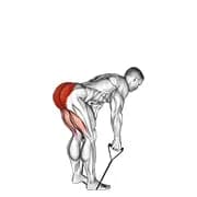 Band gerade zurück steifes Bein Deadlift