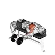 Dumbbell ein Arm Bank fliegen