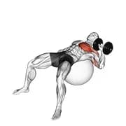 Hantel ein Arm drücken auf Übung Ball