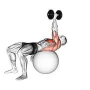 Dumbbell ein Arm Pullover auf Übung Ball