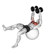 Hantel ein Bein fliegen auf Übung Ball
