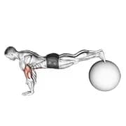 Übung Ball Pike Push