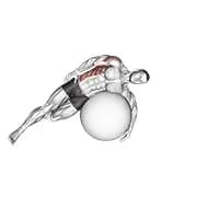 Übungsball liegend seitliche Lattenstrecke