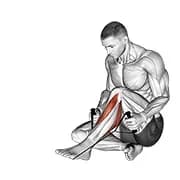 Hintere Tibialis-Strecke
