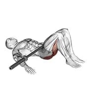 Glute Bridge mit der Langhantel