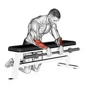 Barbell Palmen nach unten Handgelenk Curl über eine Bank