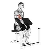 Dumbbell One Arm Reverse Prediger Curl