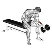Hantel ein Arm sitzt neutral Handgelenk Curl