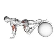 Übung Ball ein Bein prone Unterkörper Rotation