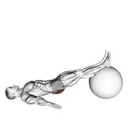 Übung Ball ein Bein diagonal Kick hamstring curl