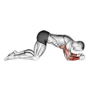 Modifizierter Push-Up für Unterarme