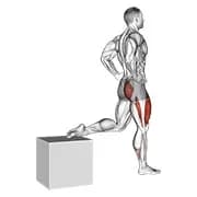 1 Bein Squat