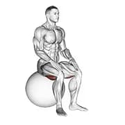 Übung Ball sitzende Kniesehne Stretch