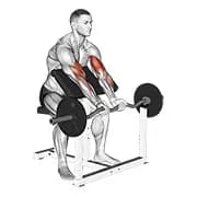 ez barbell close griff prediger curl