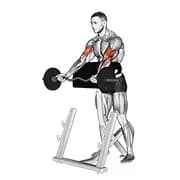 ez barbell spinne