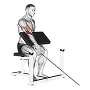 Kabel ein Arm reverse Prediger curl
