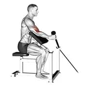 Kabelseil ein Arm Hammer Prediger Curl