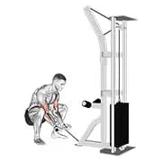 Kabel Squatting Curl