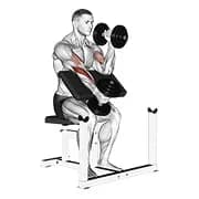 Dumbbell Alternative Hammer Prediger Curl