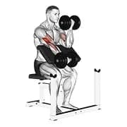 Dumbbell alternativer Prediger Curl
