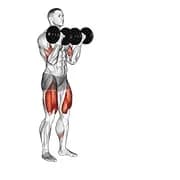Hantelbizeps Curl lunge mit Bowlingbewegung