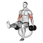Dumbbell Bizeps Curl auf Übungsball mit erhobenem Bein