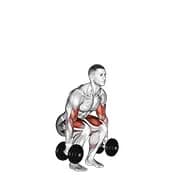 Langhantelbizeps curl squat