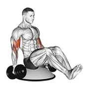 Langhantelbizeps curl v sitzen auf bosu ball