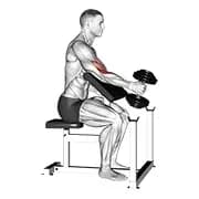 Dumbbell ein Arm Hammer Prediger Curl